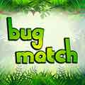 Bug Match 2